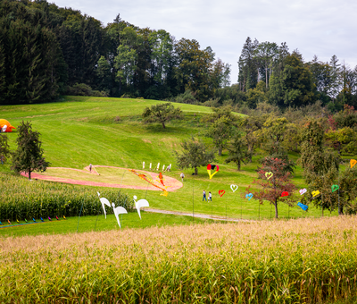 Naturtrüber apfelsaft bodensee